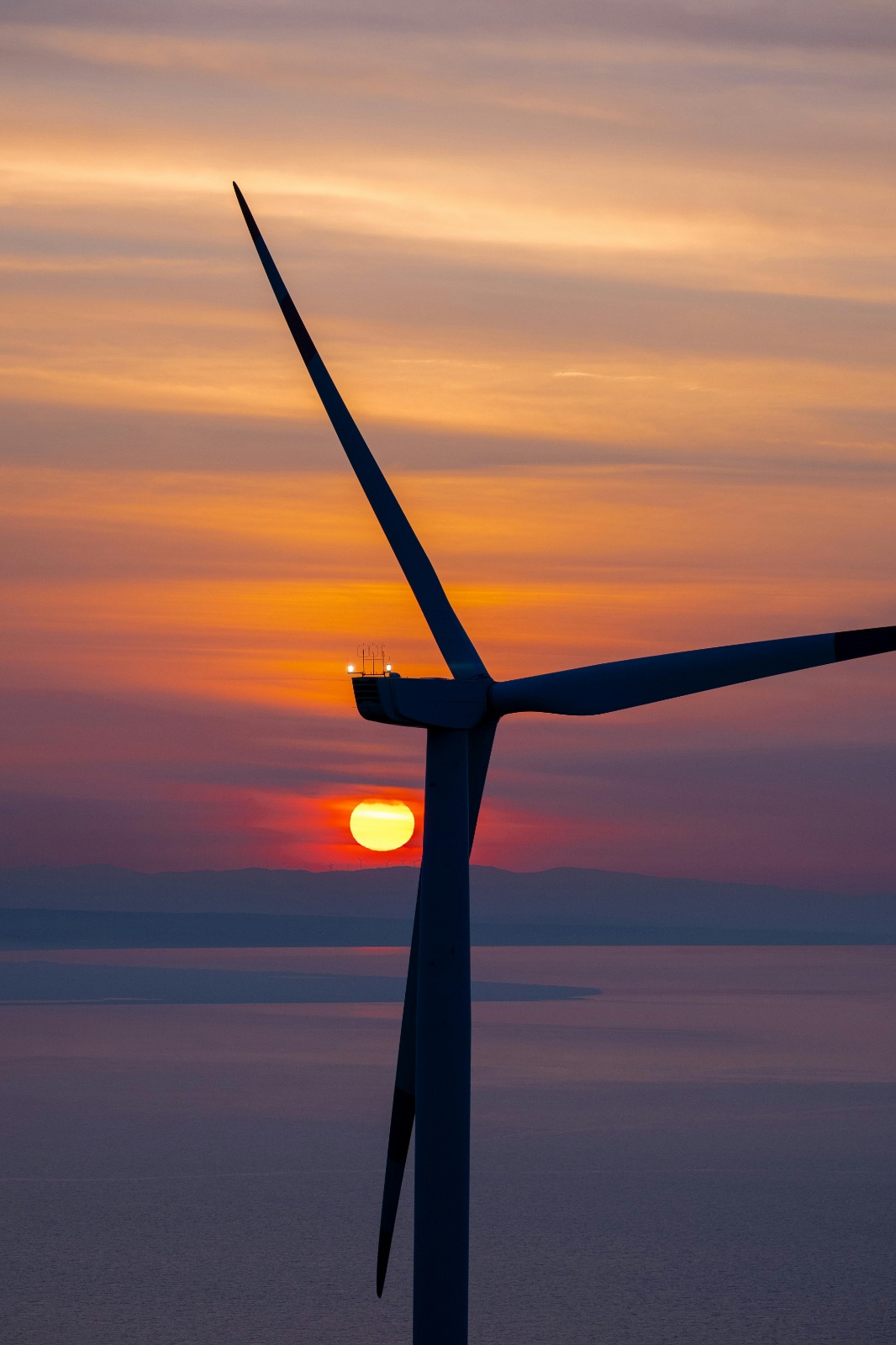 Wind turbines in a field